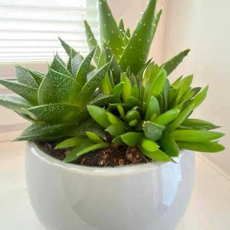 Villa7 Balaton بيت ضيافة Alsóörs