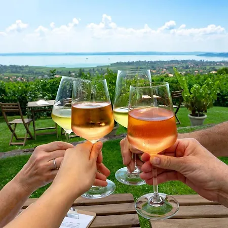 Villa7 Balaton بيت ضيافة