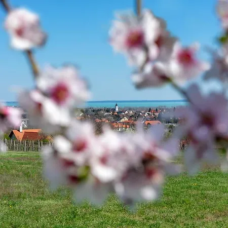 Villa7 Balaton 4* Alsóörs