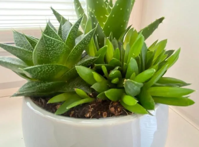 Villa7 Balaton 招待所 Alsóörs