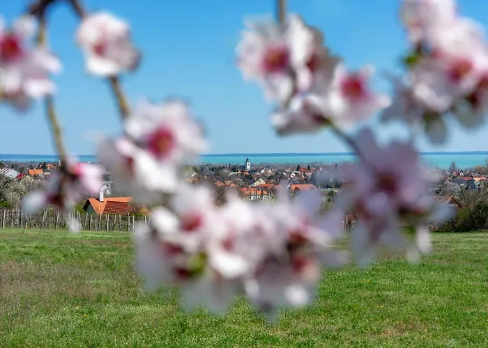 Villa7 Balaton 4* Alsóörs